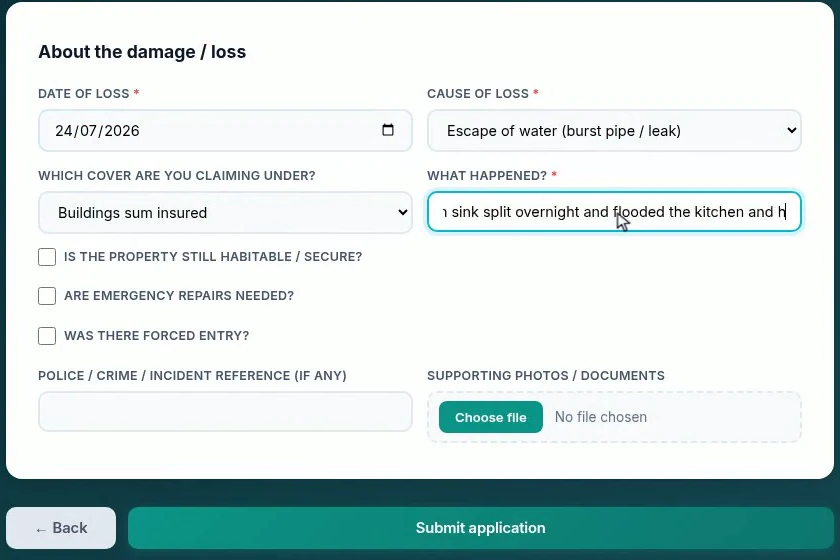 The public claim form on the step asking about the damage: date, cause of loss, which cover it touches and a description