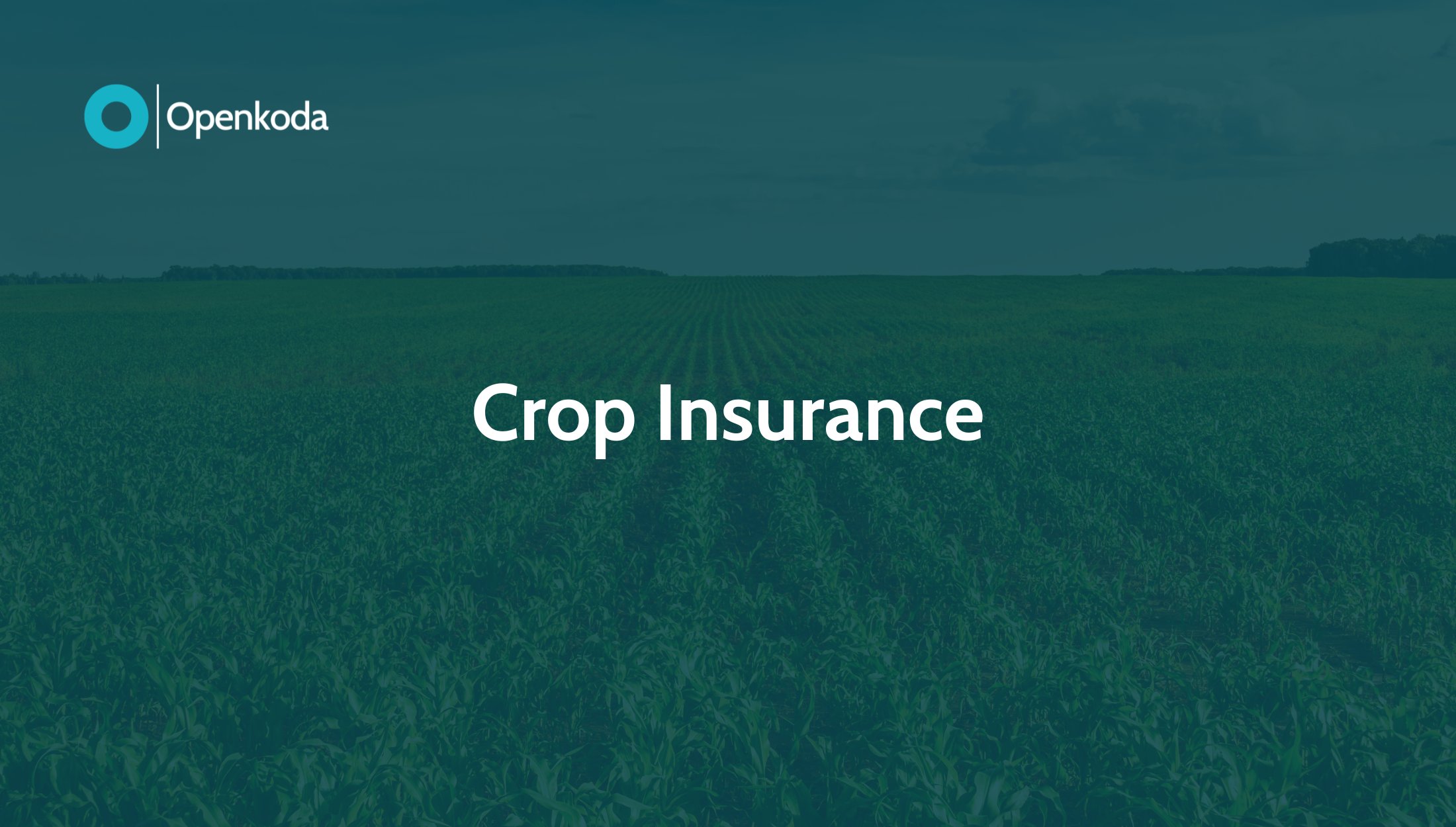 crop insurance